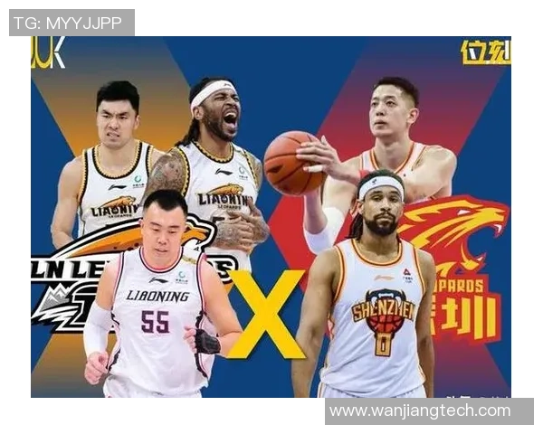 辽宁对阵深圳精彩视频回放全程回顾与赛后分析尽在此处